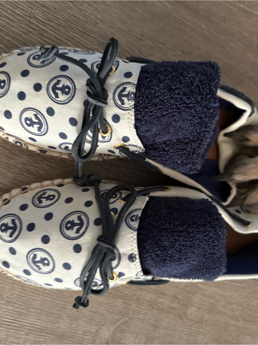 Women’s sperry never worn